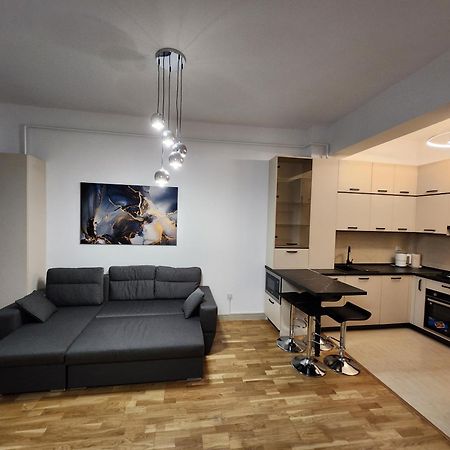 Near Airport 2 Rooms Apartments In Himson Iasi Eksteriør bilde